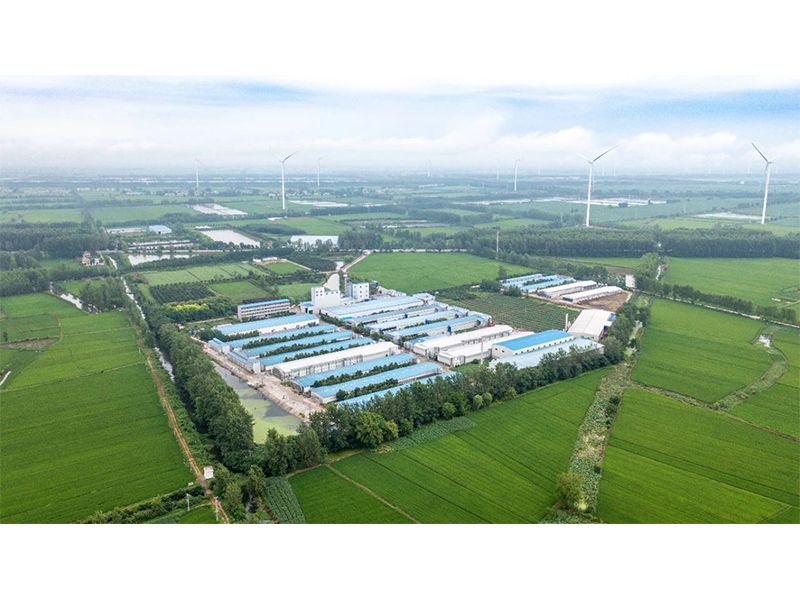 2023年中央一號(hào)文件出爐，畜禽產(chǎn)業(yè)應(yīng)抓住哪些新機(jī)遇？