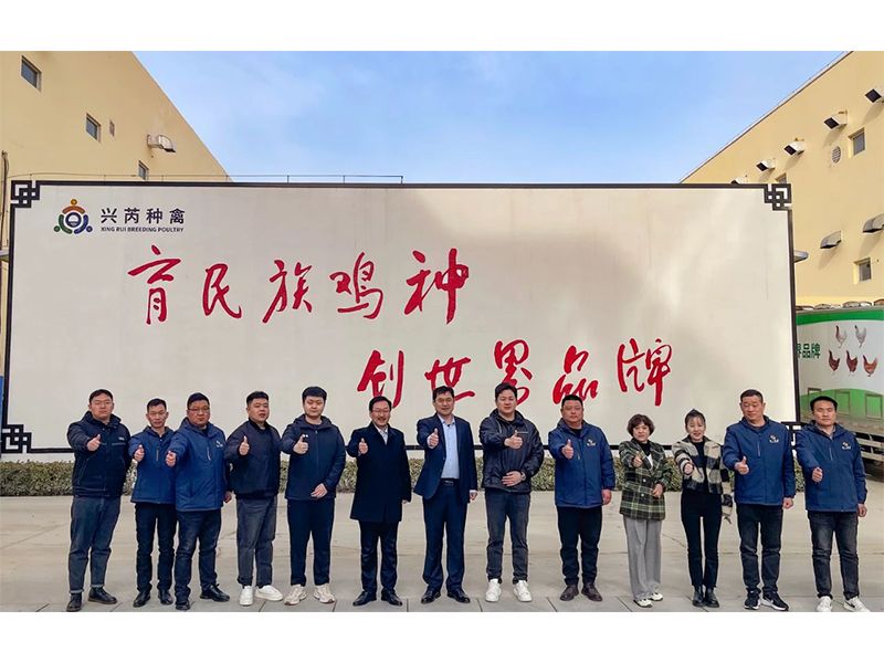 參觀(guān)學(xué)習(xí)促進(jìn)步 交流合作贏(yíng)發(fā)展︱卓一牧業(yè)赴興芮種禽、峪口禽業(yè)與瑞普生物參觀(guān)訪(fǎng)學(xué)