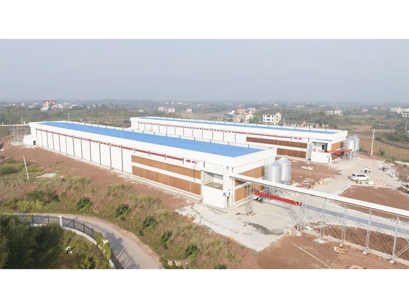 熱烈祝賀西南地區(qū)300萬羽蛋雞養(yǎng)殖基地驗收成功，上雞大吉！